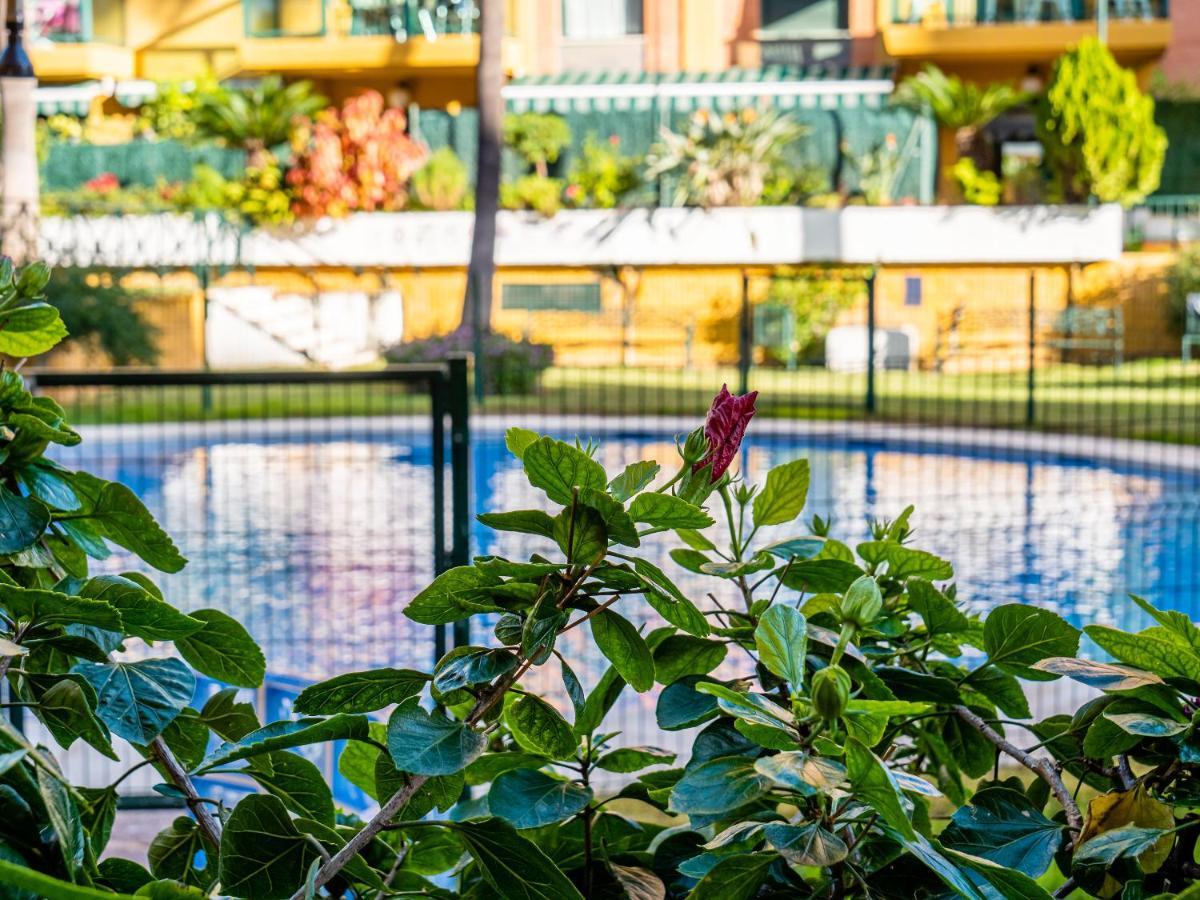 Palm Beach Apartment - Torremolinos Ngoại thất bức ảnh